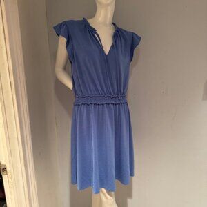 Ann Taylor LOFT Swiss Dot Fabric Blue Dress Size Large